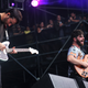 Foals